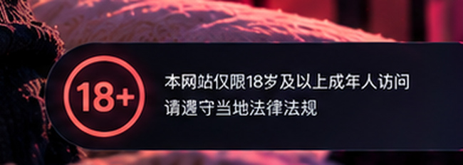 成人网站18+年龄提示